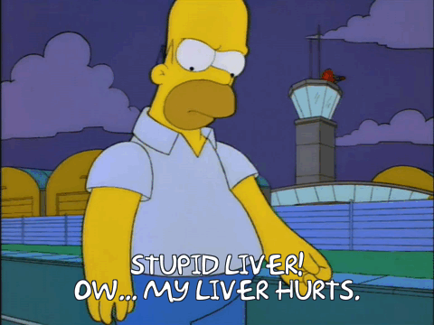 Simpsons stupid liver